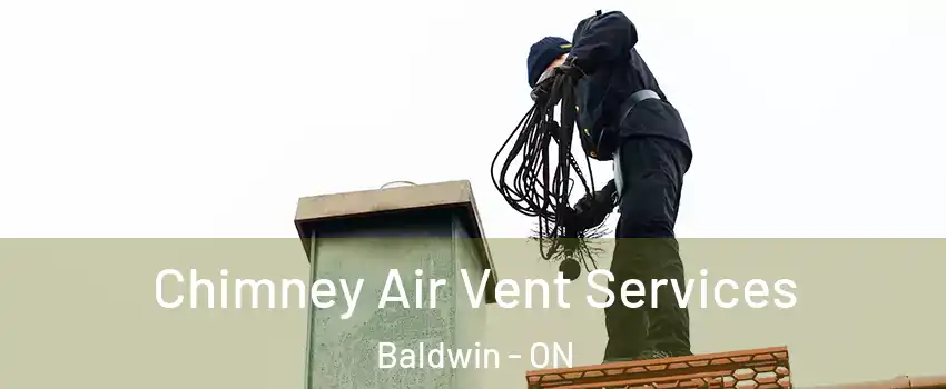  Chimney Air Vent Services Baldwin - ON