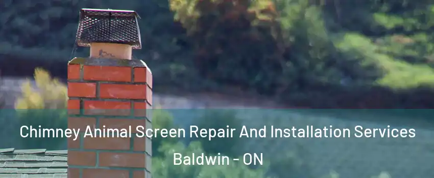  Chimney Animal Screen Repair And Installation Services Baldwin - ON