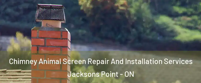  Chimney Animal Screen Repair And Installation Services Jacksons Point - ON