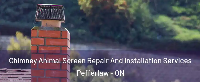 Chimney Animal Screen Repair And Installation Services Pefferlaw - ON