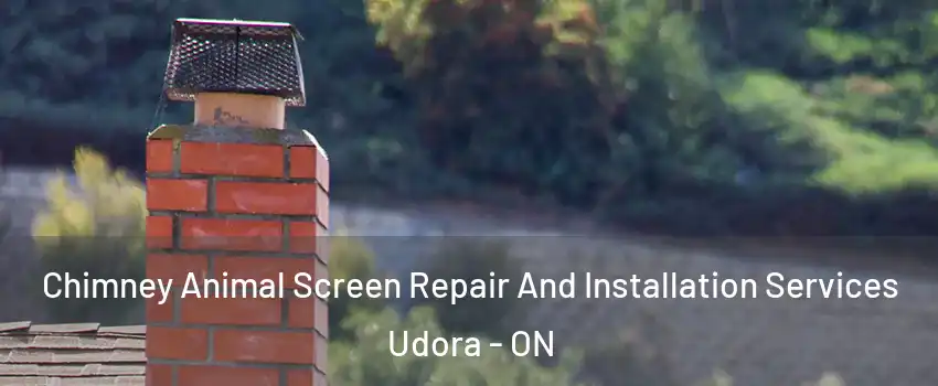 Chimney Animal Screen Repair And Installation Services Udora - ON