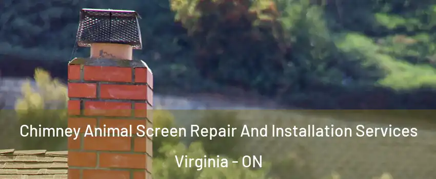  Chimney Animal Screen Repair And Installation Services Virginia - ON