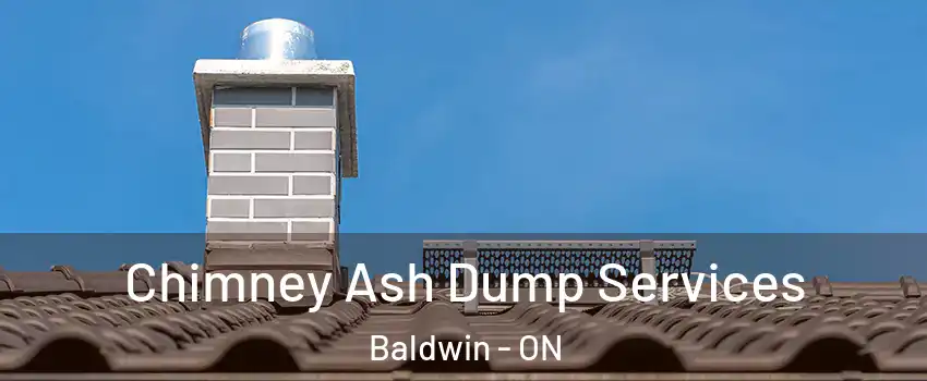  Chimney Ash Dump Services Baldwin - ON