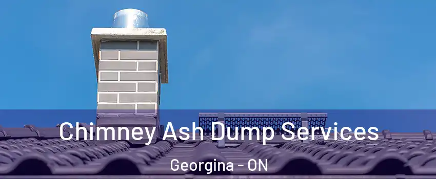  Chimney Ash Dump Services Georgina - ON