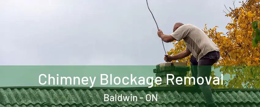  Chimney Blockage Removal Baldwin - ON