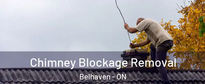  Chimney Blockage Removal Belhaven - ON
