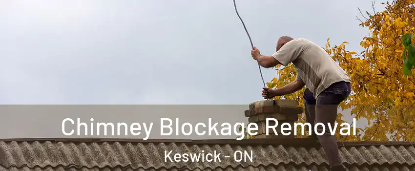  Chimney Blockage Removal Keswick - ON