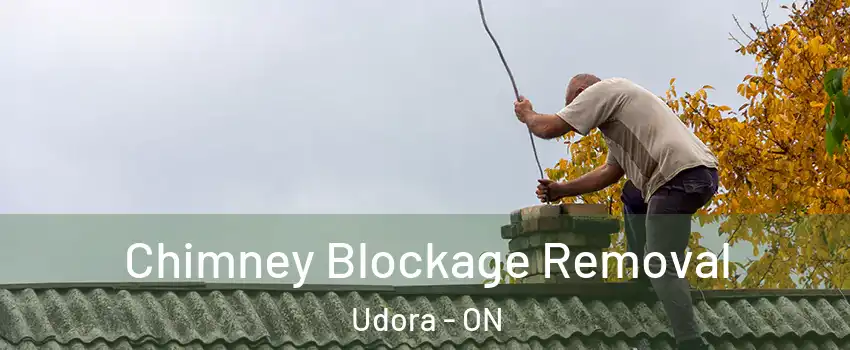  Chimney Blockage Removal Udora - ON