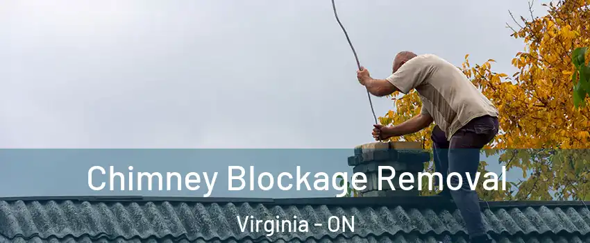  Chimney Blockage Removal Virginia - ON