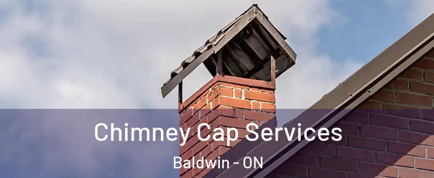  Chimney Cap Services Baldwin - ON