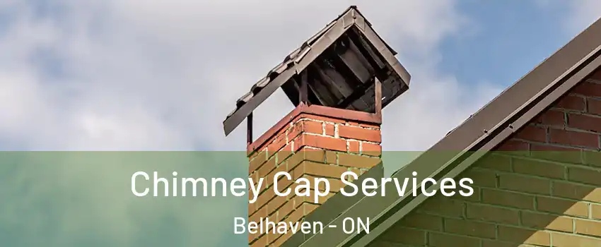  Chimney Cap Services Belhaven - ON