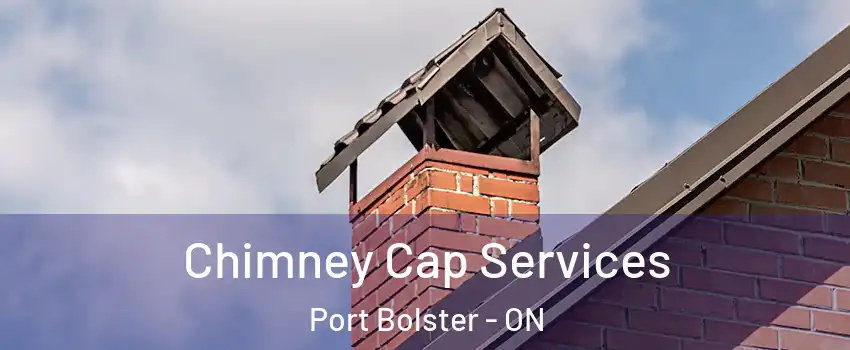  Chimney Cap Services Port Bolster - ON