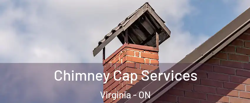  Chimney Cap Services Virginia - ON