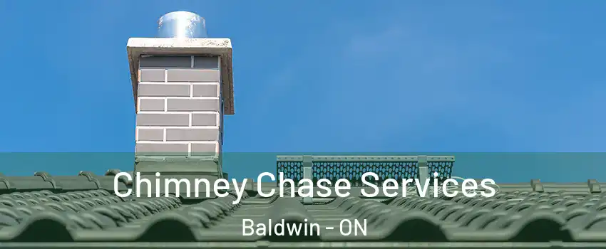  Chimney Chase Services Baldwin - ON