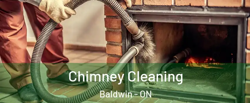  Chimney Cleaning Baldwin - ON