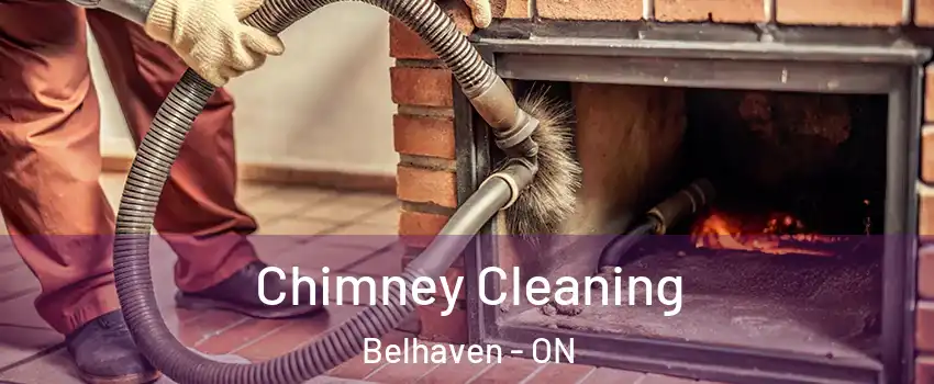  Chimney Cleaning Belhaven - ON
