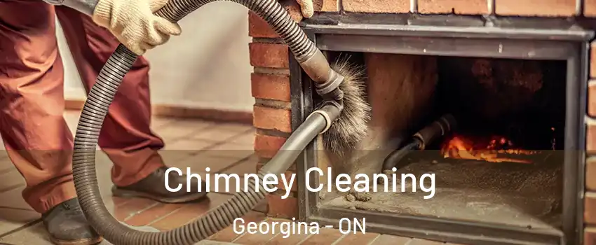  Chimney Cleaning Georgina - ON