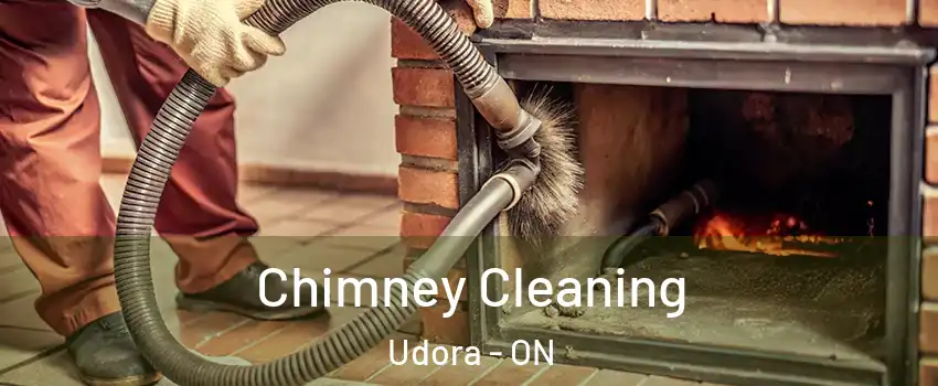  Chimney Cleaning Udora - ON