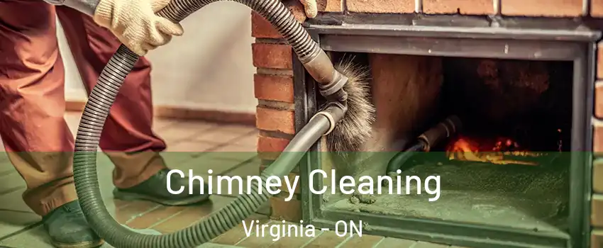  Chimney Cleaning Virginia - ON