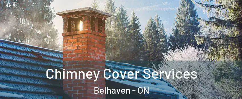  Chimney Cover Services Belhaven - ON