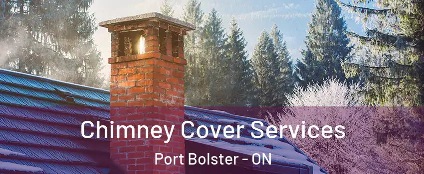  Chimney Cover Services Port Bolster - ON
