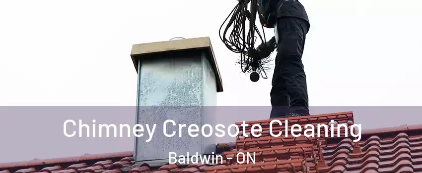  Chimney Creosote Cleaning Baldwin - ON
