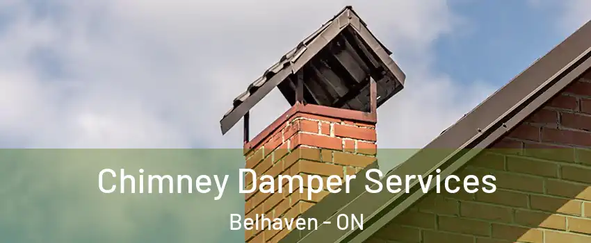  Chimney Damper Services Belhaven - ON