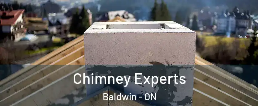 Chimney Experts Baldwin - ON