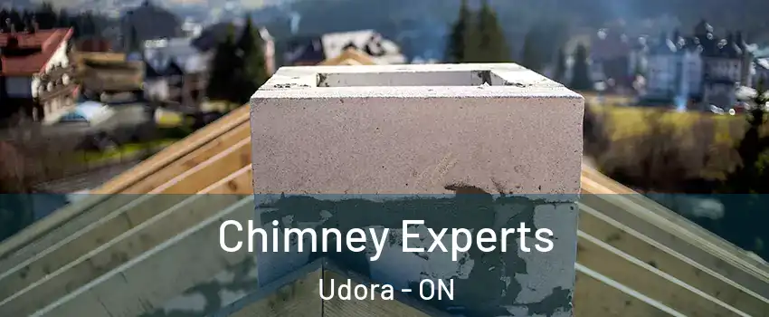 Chimney Experts Udora - ON