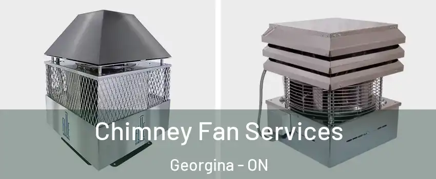  Chimney Fan Services Georgina - ON