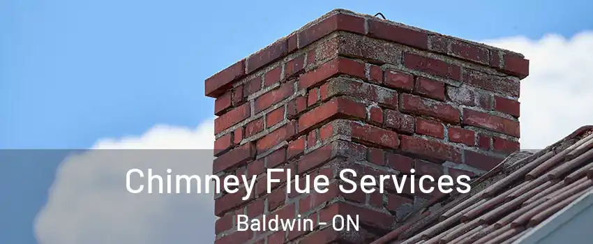  Chimney Flue Services Baldwin - ON