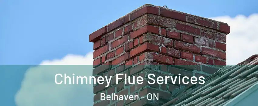  Chimney Flue Services Belhaven - ON