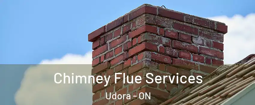  Chimney Flue Services Udora - ON