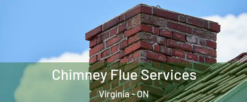  Chimney Flue Services Virginia - ON
