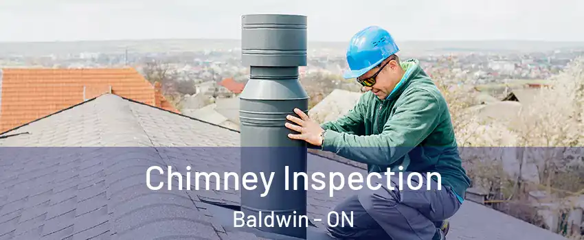  Chimney Inspection Baldwin - ON