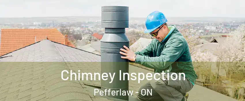 Chimney Inspection Pefferlaw - ON