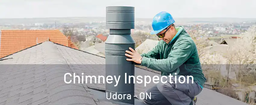  Chimney Inspection Udora - ON