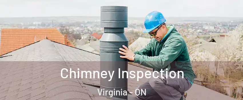  Chimney Inspection Virginia - ON