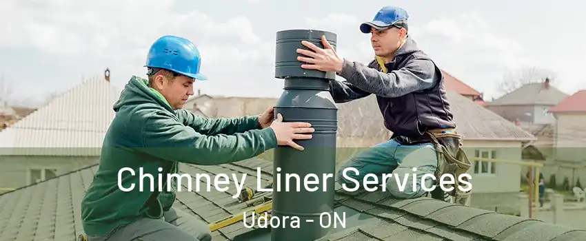  Chimney Liner Services Udora - ON