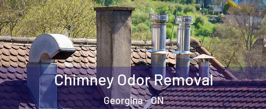  Chimney Odor Removal Georgina - ON