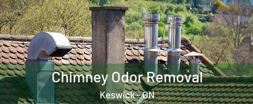  Chimney Odor Removal Keswick - ON