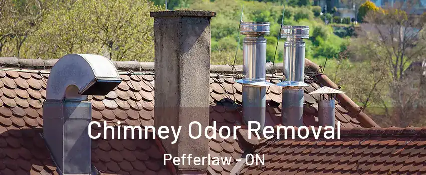  Chimney Odor Removal Pefferlaw - ON