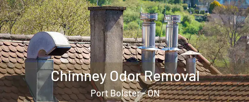  Chimney Odor Removal Port Bolster - ON