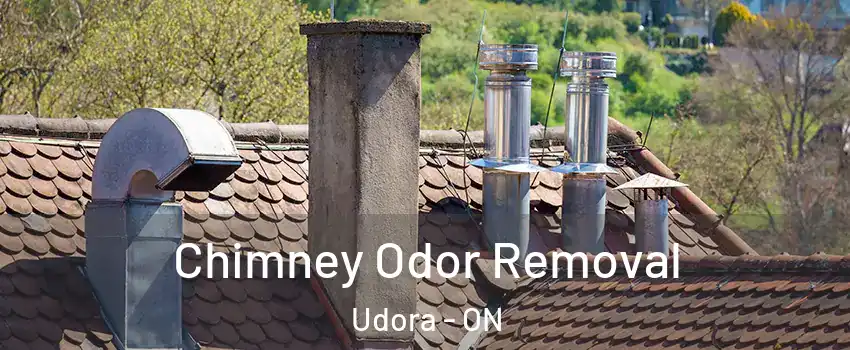  Chimney Odor Removal Udora - ON