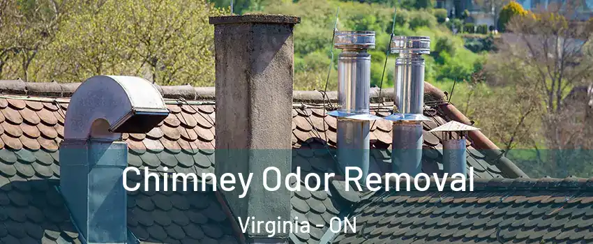  Chimney Odor Removal Virginia - ON