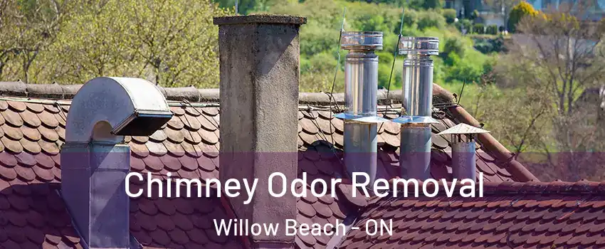  Chimney Odor Removal Willow Beach - ON