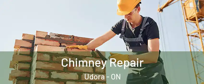  Chimney Repair Udora - ON