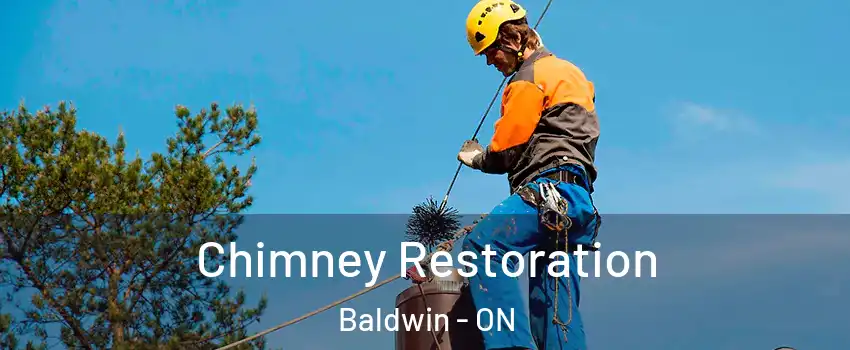 Chimney Restoration Baldwin - ON