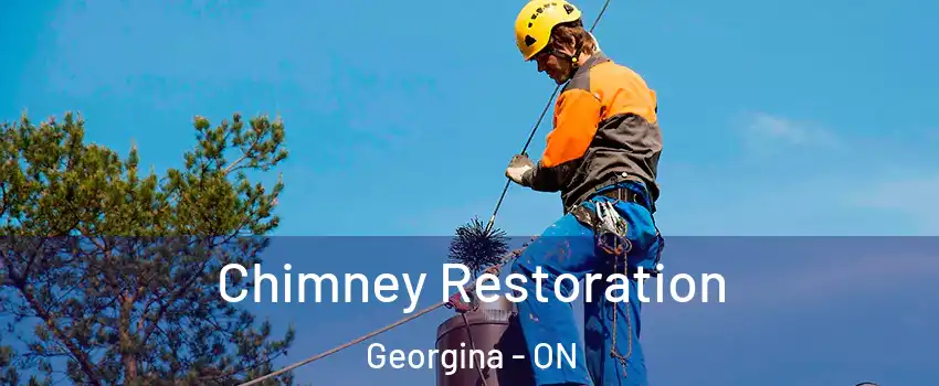  Chimney Restoration Georgina - ON