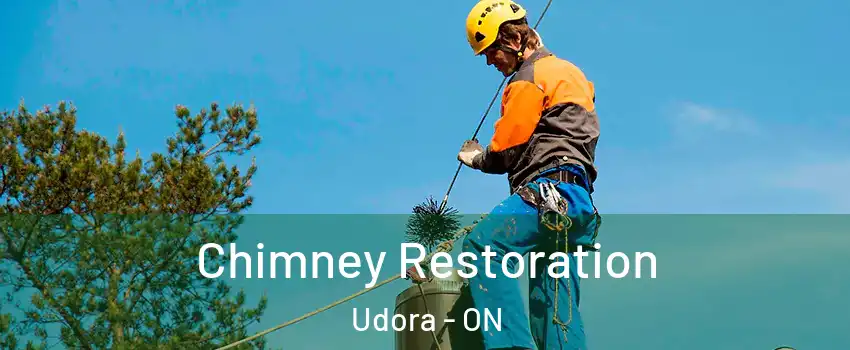  Chimney Restoration Udora - ON